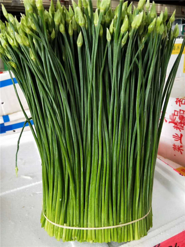 韭菜花(huā)